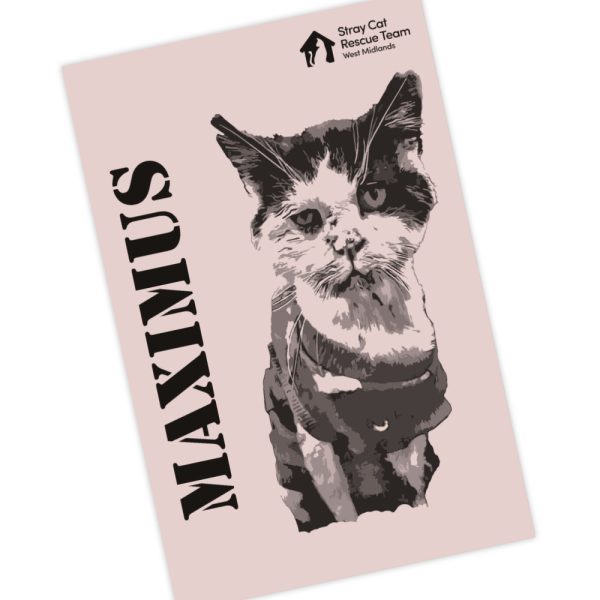 Maximus Warrior Tea Towel - Pink