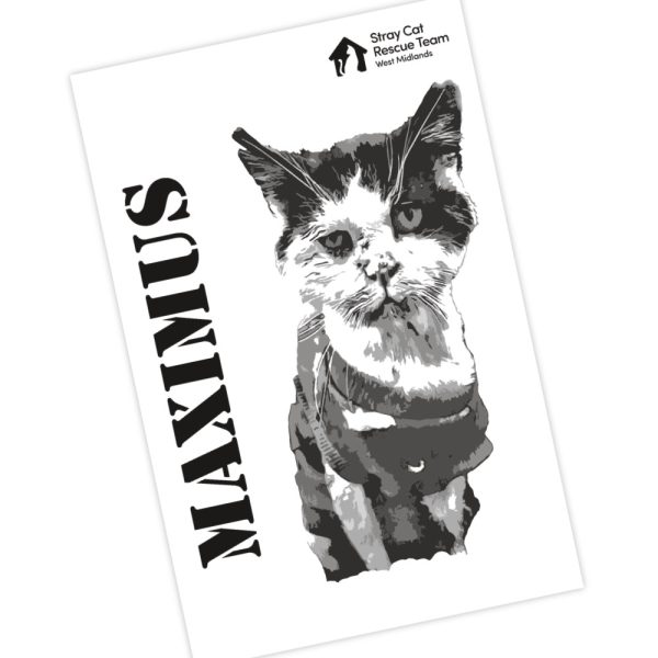 Maximus Warrior  Tea Towel - White