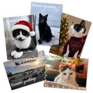 Pack of 5 cards