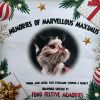 Memories of Marvellous Maximus book - festive edition 2025