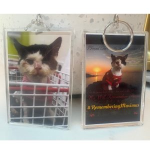 Keyring - Maximus (Large)